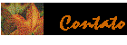 Contato